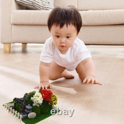5 Sets Landscape Ornaments Dollhouse Accessories Garden Miniatures