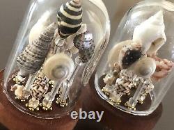 A PAIR of ARTISAN Dolls House Miniature Dome Shell Displays 1/12
