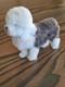 Annie Willis 112 Dolls House Miniature Vintage Old English Sheepdog Fur Animal