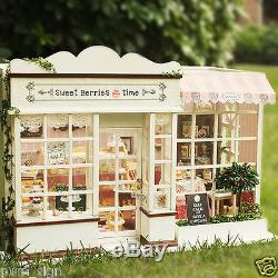 DIY Handcraft Miniature Project Kit The Sweet Berries Time Wooden Dolls House