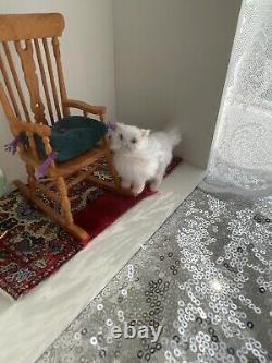 DollHouse Miniature Persian Cat Realistic Handmade OOAK 112 Doll House Art Doll