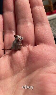 DollHouse Miniature mouse Realistic Handmade OOAK Rat 112 Dolls House Pet