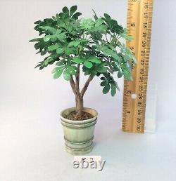Dollhouse miniature 1/12th scale Schefflera tree in aged resin pot #2