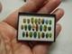 Dolls House Miniature Handmade Beetle Collection By Patricia Paul