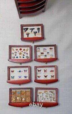 Dolls House Miniature Natural History Darwinian Display Filled CHEST OF DRAWERS