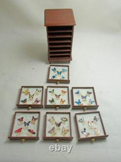 Dolls house Handmade Miniature Jarrah Wood Butterfly Display Unit