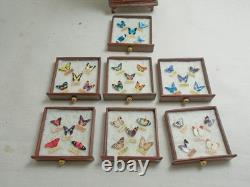 Dolls house Handmade Miniature Jarrah Wood Butterfly Display Unit