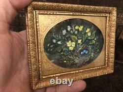 Dolls house Miniature OIL PAINTING of STILL LIFE BIRDS NEST BY DAVID EVANS