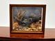 Dolls House Miniature 112 Artisan Bird Taxidermy Glazed Case