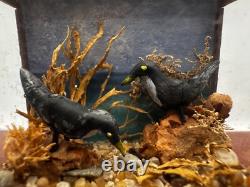 Dolls house miniature 112 ARTISAN bird taxidermy glazed case