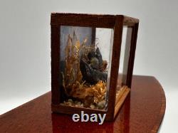 Dolls house miniature 112 ARTISAN bird taxidermy glazed case