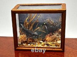 Dolls house miniature 112 ARTISAN bird taxidermy glazed case