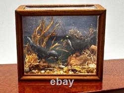 Dolls house miniature 112 ARTISAN bird taxidermy glazed case
