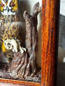 Dolls house miniature 112 ARTISAN taxidermy owl by ALEX CURTIS