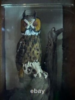 Dolls house miniature 112 ARTISAN taxidermy owl by ALEX CURTIS