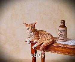 Dolls house miniature 112 Scale Sarah Hendry Ginger Shelf Sitting Tabby Cat