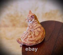 Dolls house miniature 112 Scale Sarah Hendry Ginger Shelf Sitting Tabby Cat