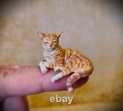 Dolls house miniature 112 Scale Sarah Hendry Ginger Shelf Sitting Tabby Cat