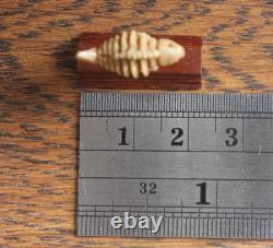Dollshouse Miniature Carved Wood Prehistoric Fish 112 OOAK By ARTIST PigeonOak