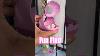 Five Below Fun Find Cat Carrier Is It A Good Size For The Dollhouse Barbie