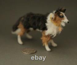 OOAK Handmade Dolls House Tricolour Border Collie Dog Canis Minor Miniatures Art