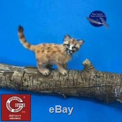 OOAK dollhouse lion cub cat 112 miniature handmade IGMA Artisan N. Naumenko