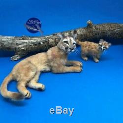 OOAK dollhouse lion cub cat 112 miniature handmade IGMA Artisan N. Naumenko