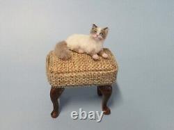 OOAK dollhouse miniature cat 112 scale Realistic Handmade IGMA Artisan JParrott