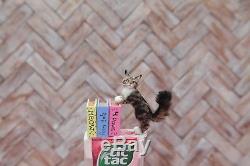 OOAK realistic dollhouse miniature Maine coon cat and book 112 scale