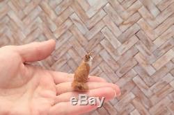 OOAK realistic dollhouse miniature ginger cat 112 scale