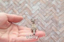 OOAK realistic dollhouse miniature hand-sculpted cat 112 scale
