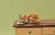 Ooak Realistic Dollhouse Miniature Hand-sculpted Orange Tabby Cat
