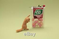 OOAK realistic dollhouse miniature hand-sculpted orange tabby cat and rose