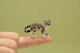 Ooak Realistic Dollhouse Miniature Hand-sculpted Tabby Cat