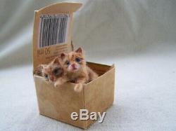 Ooak Miniature Dollhouse Ginger Kittens in the box by Malga