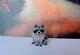 Raccoon Dollhouse Realistic Ooak Miniature 112 Handsculp. Handmade
