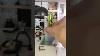 Reply To Peeplesb Is This Better Snakeplant Miniatures Dollhouse Design Art Plants