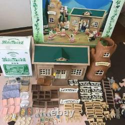 SYLVANIAN FAMILIES CALICO CRITTERS Forest school VINTAGE RARE COLLECTION 15