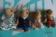 Sylvanian Families British Calico Critters- Reindeer Moss Family Vintage