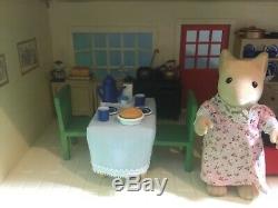 Sylvanian Families Rare Vintage Angelina Ballerina Cheddar Cottage And Figures